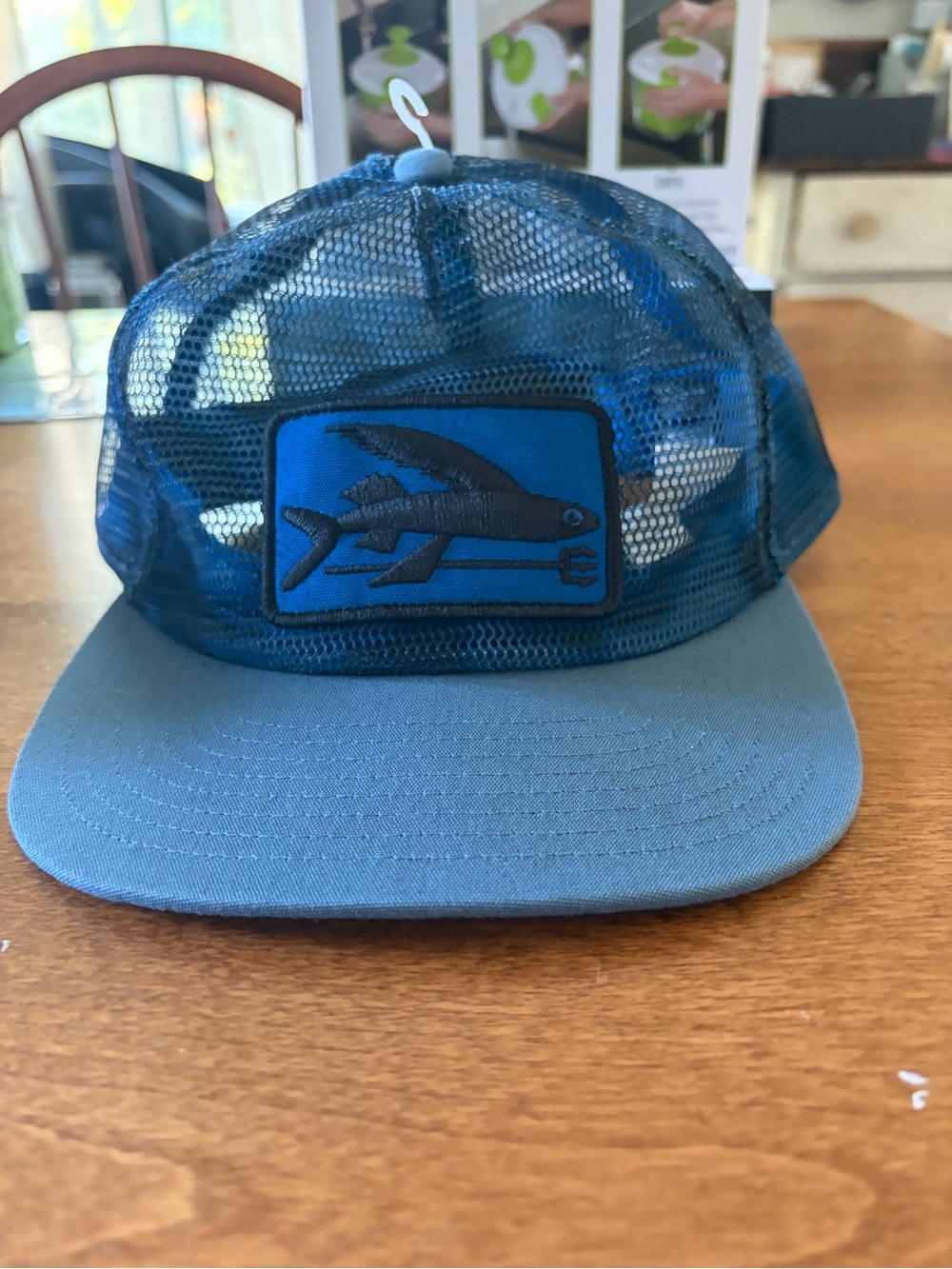 Patagonia Mesh Trucker Hat - Blue - Picture 2 of 8